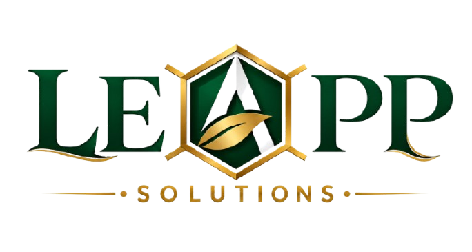 Leap.Solutions is loading